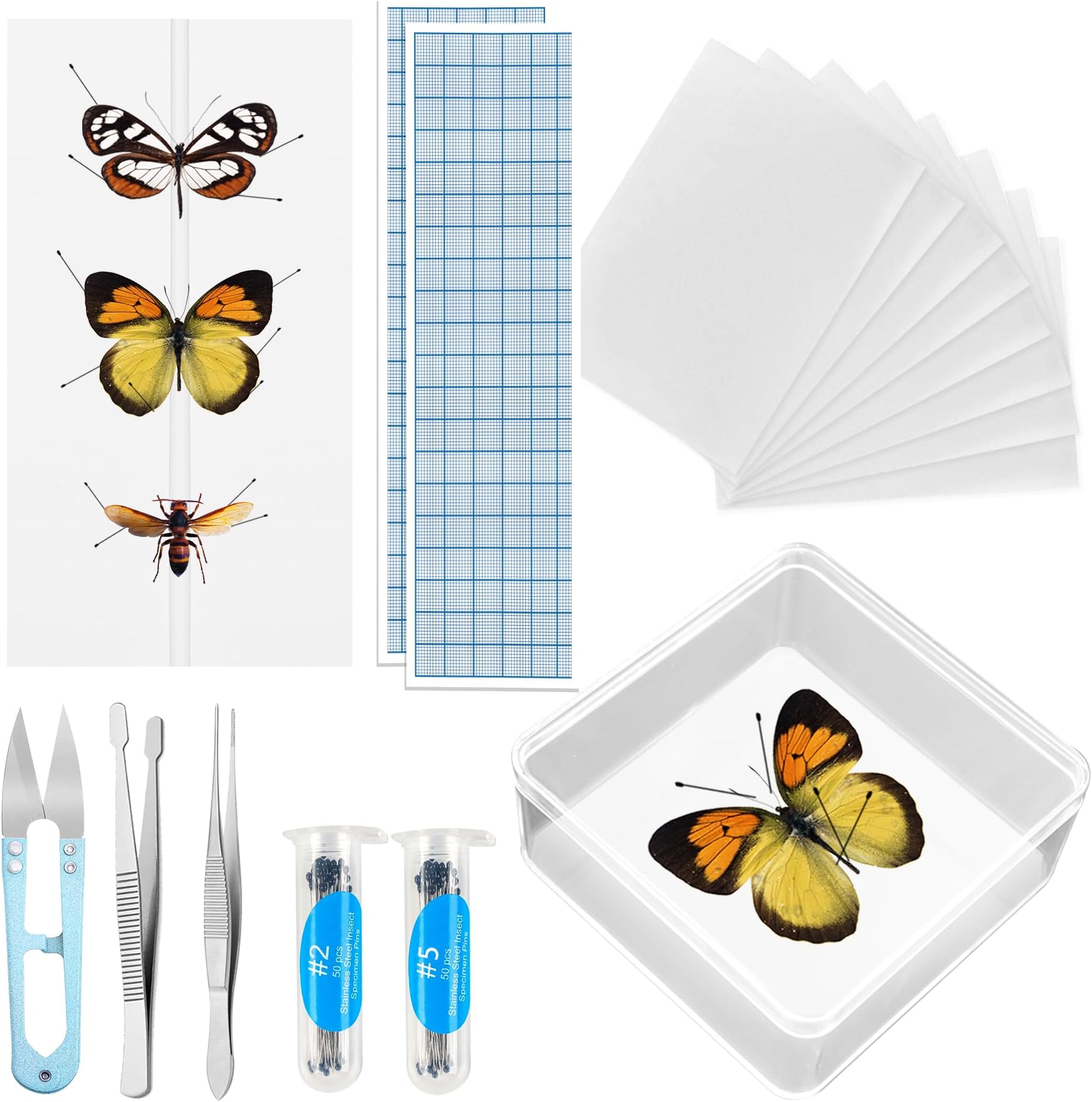 Insect Pinning Kit, Making Butterfly Specimen Tools for Science Education, Specimen Collection and Art Enthusiasts