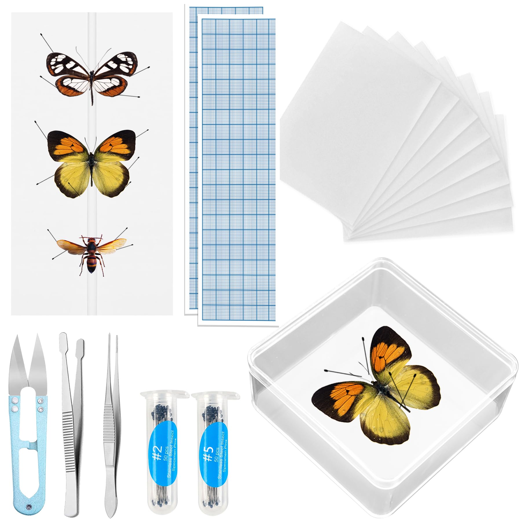 Insect Pinning Kit, Making Butterfly Specimen Tools for Science Education, Specimen Collection and Art Enthusiasts