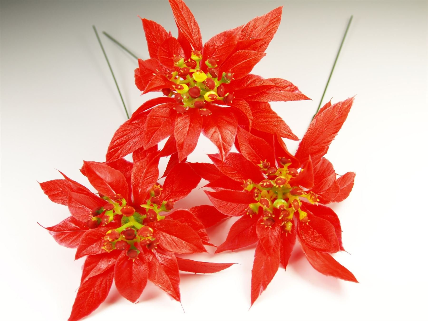 Smithers Oasis Red 50 Stems Small Poinsettias Christmas Floristry Decorative Pick (3890)