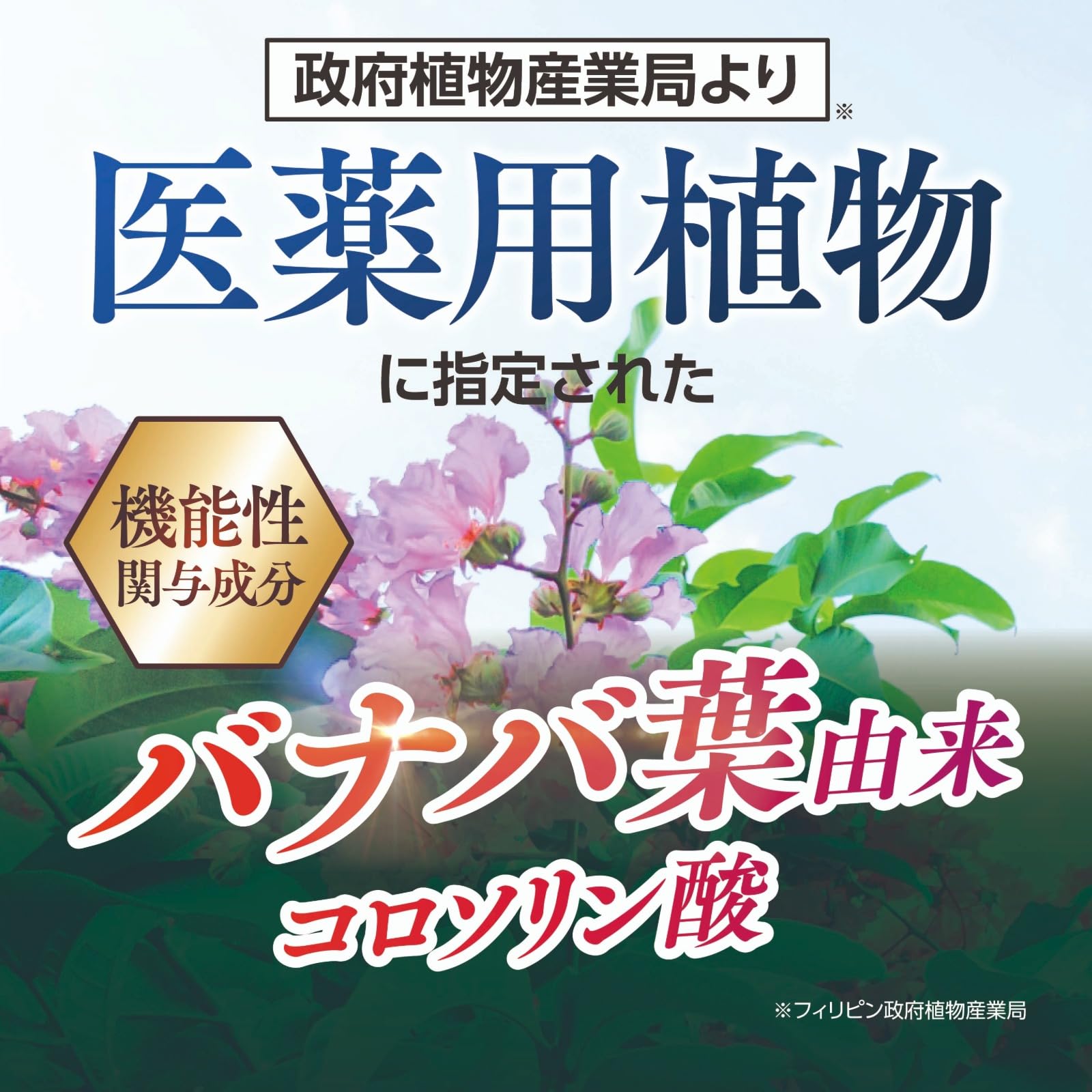 Amazon.co.jp: とうと サプリ サプリメント こす薬店 機能性表示食品