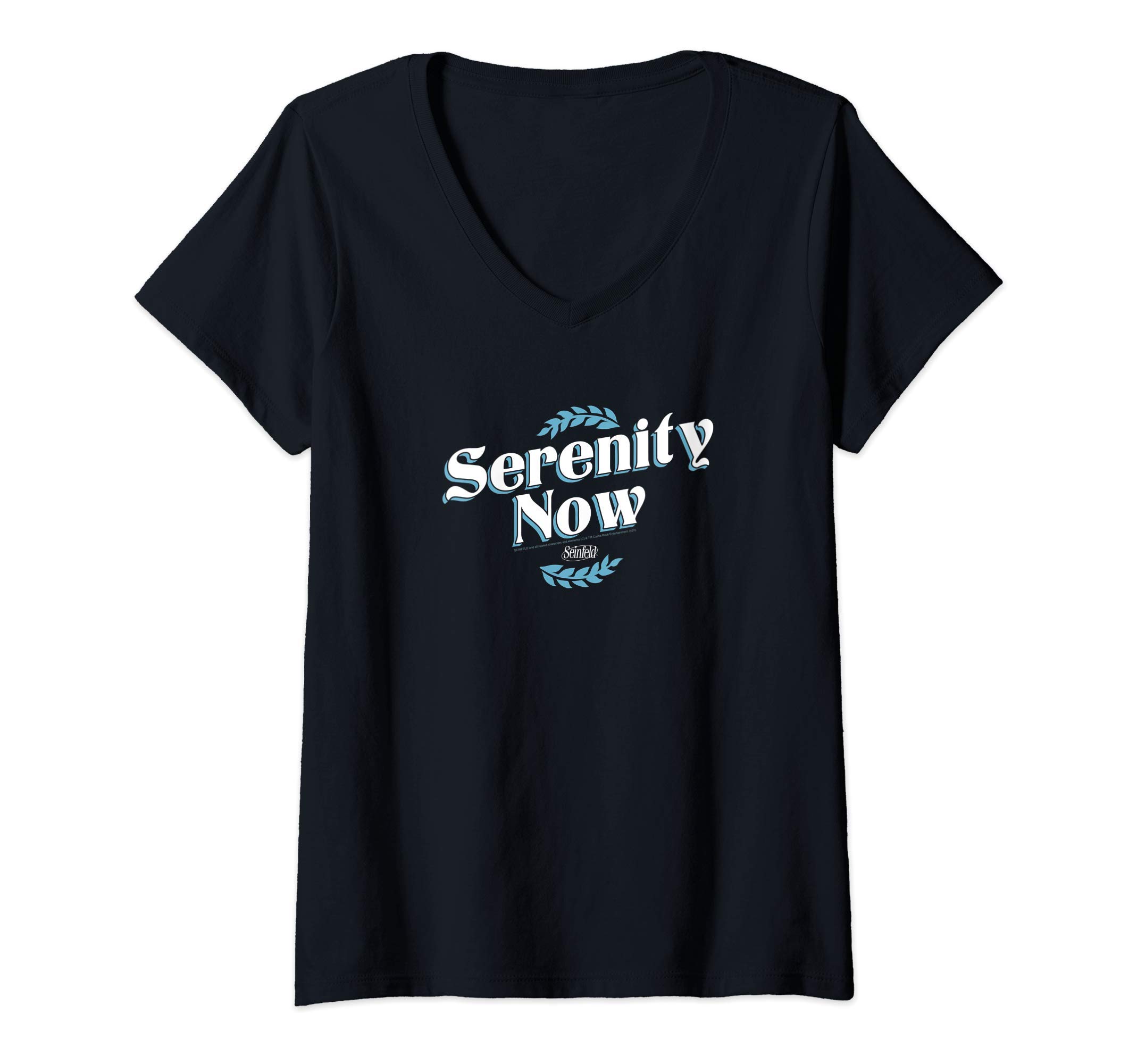 Womens Seinfeld Serenity Now Episode V-Neck T-Shirt
