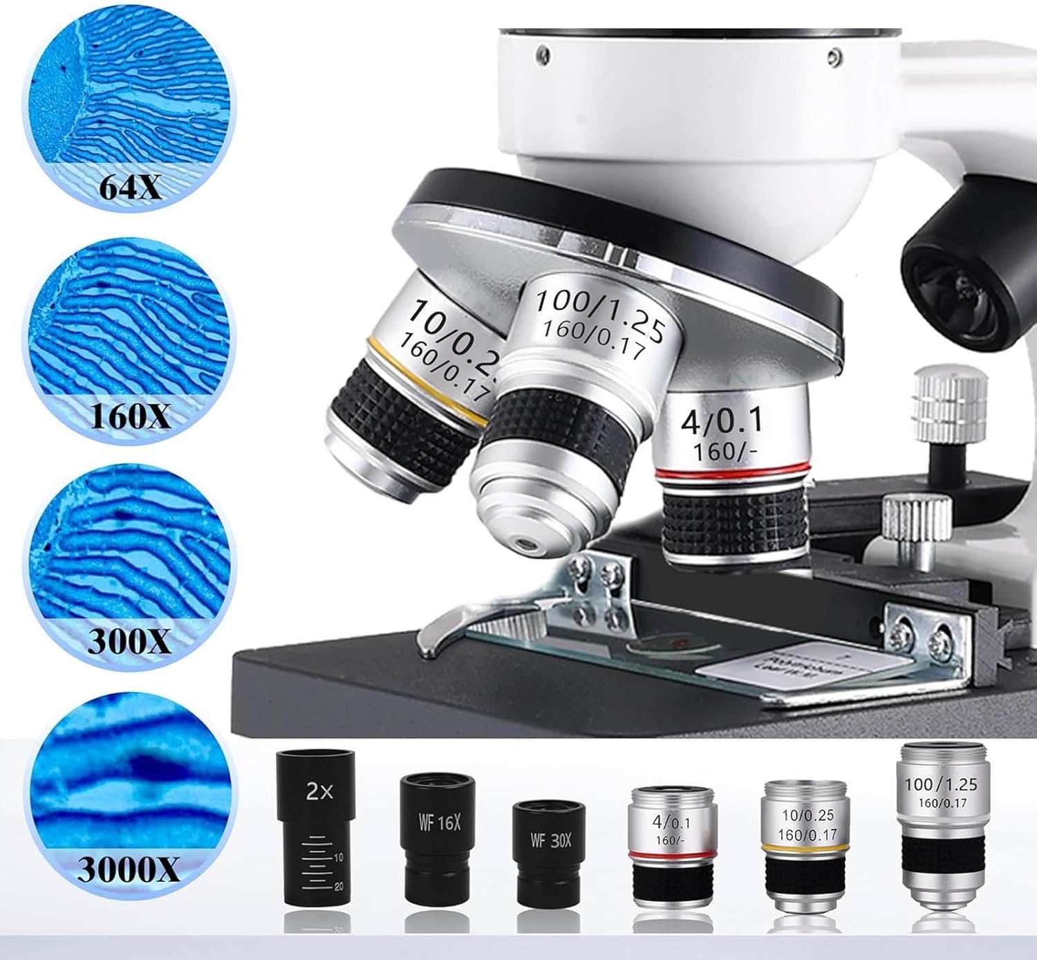 40x-2400x Binocular Compound Microscope,Led Lab Microscope- 16x+30x Eyepieces/4x+10x+100x Objective Lens-Dual Light Source+Mobile Phone Holder,for Home Educational/Hobby,White