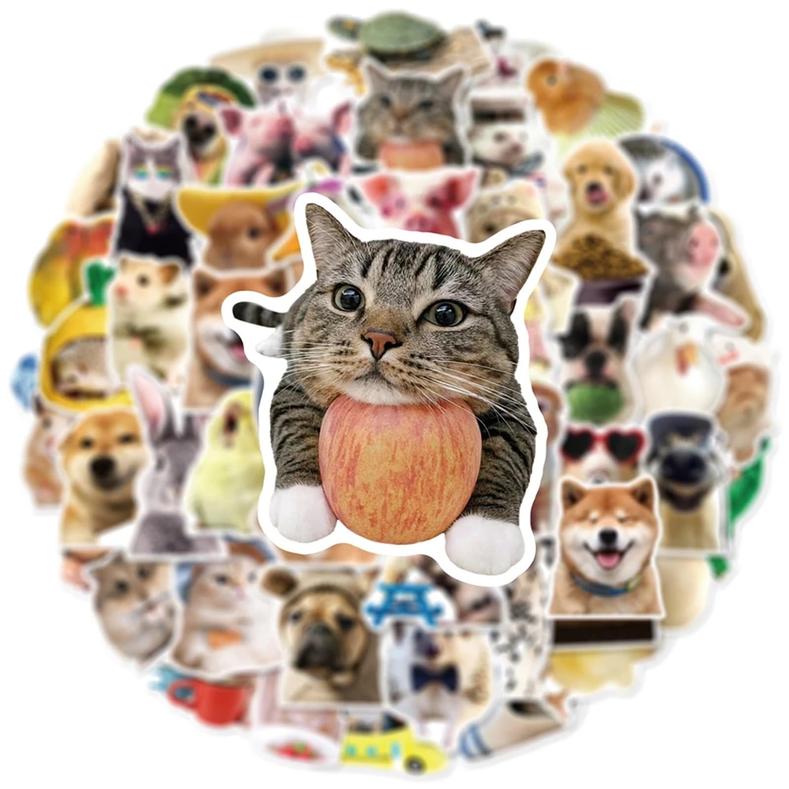 10/30/50pcs Funny Cute Animals Meme Stickers Kawaii Cat Dog Cartoon Decals Toy Water Bottle Scrapbook Phone Bike Sticker Packing(50PCS)