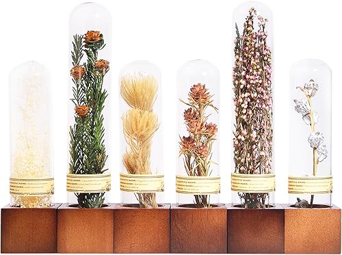 Miniatura 11 de 3 piezas de decoración de flores secas, adornos para estantes, cosas geniales para estanterías, decoración de plantas pequeñas para estantes de Trío