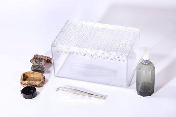 Tarantula Enclosure Spider Terrarium Hermit Crab Tank Starter Kit