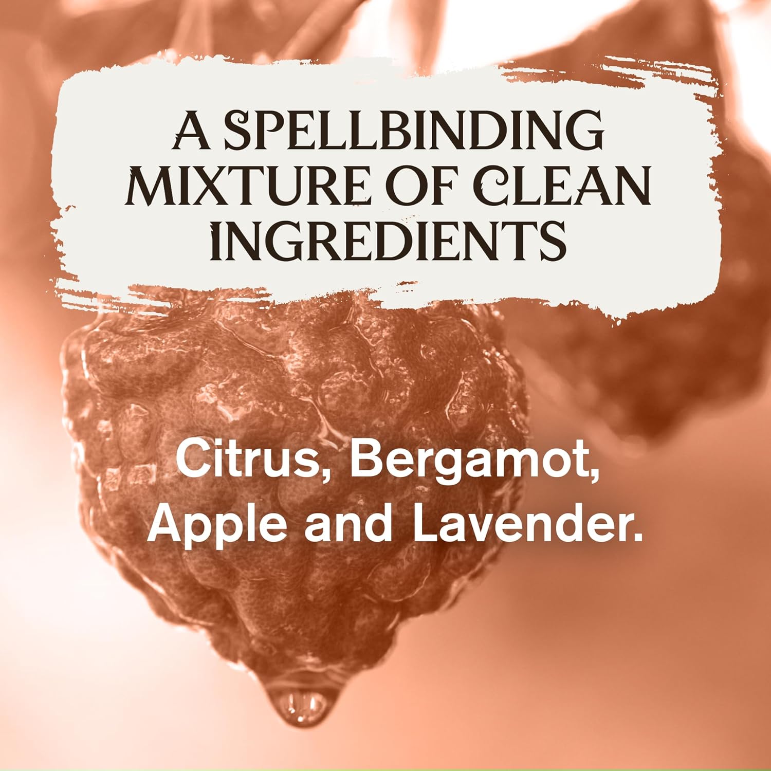 Every Man Jack Harry Potter Collectors Body Wash - Hogwarts Inspired Scents & Clean Ingredients - Charms - Wingardium Leviosa Scent - 13.5 oz (Pack of 2) - Image 6