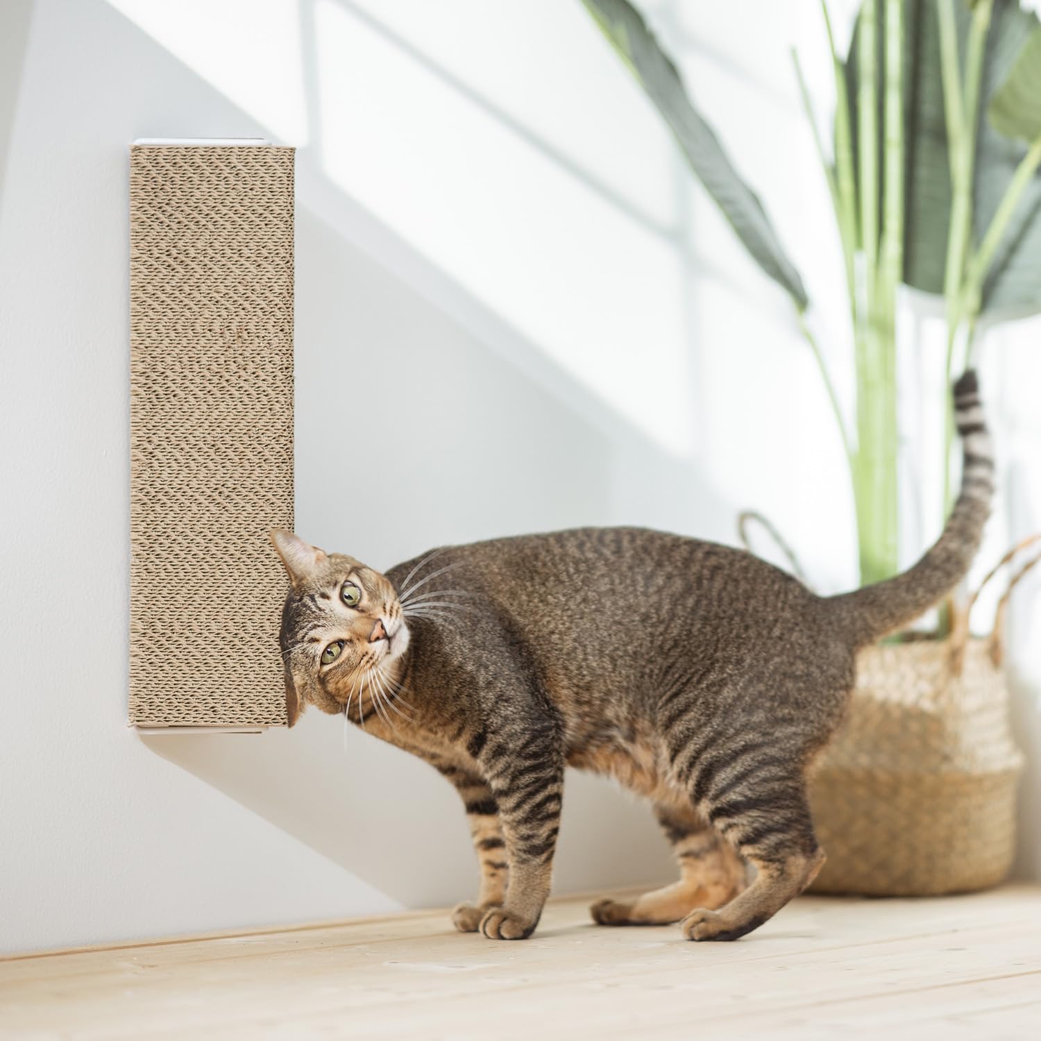 review Wall Mounted Scratching Post, Triangular Cat Scratcher, Cardboard Scratcher with Metal Bracket