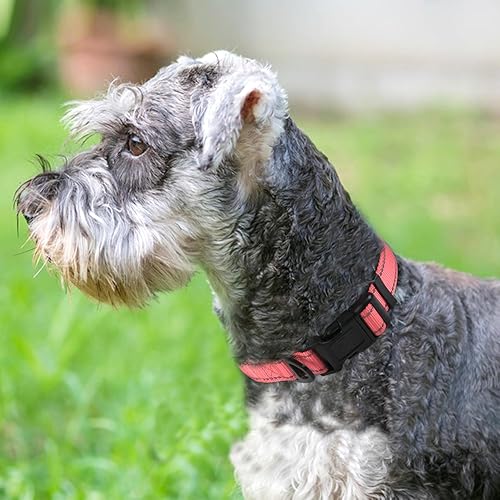 Vista 18 de Joytale - Collar reflectante para perro, collar de nailon transpirable con acolchado de neopreno suave para mascotas, ajustable para perros verde