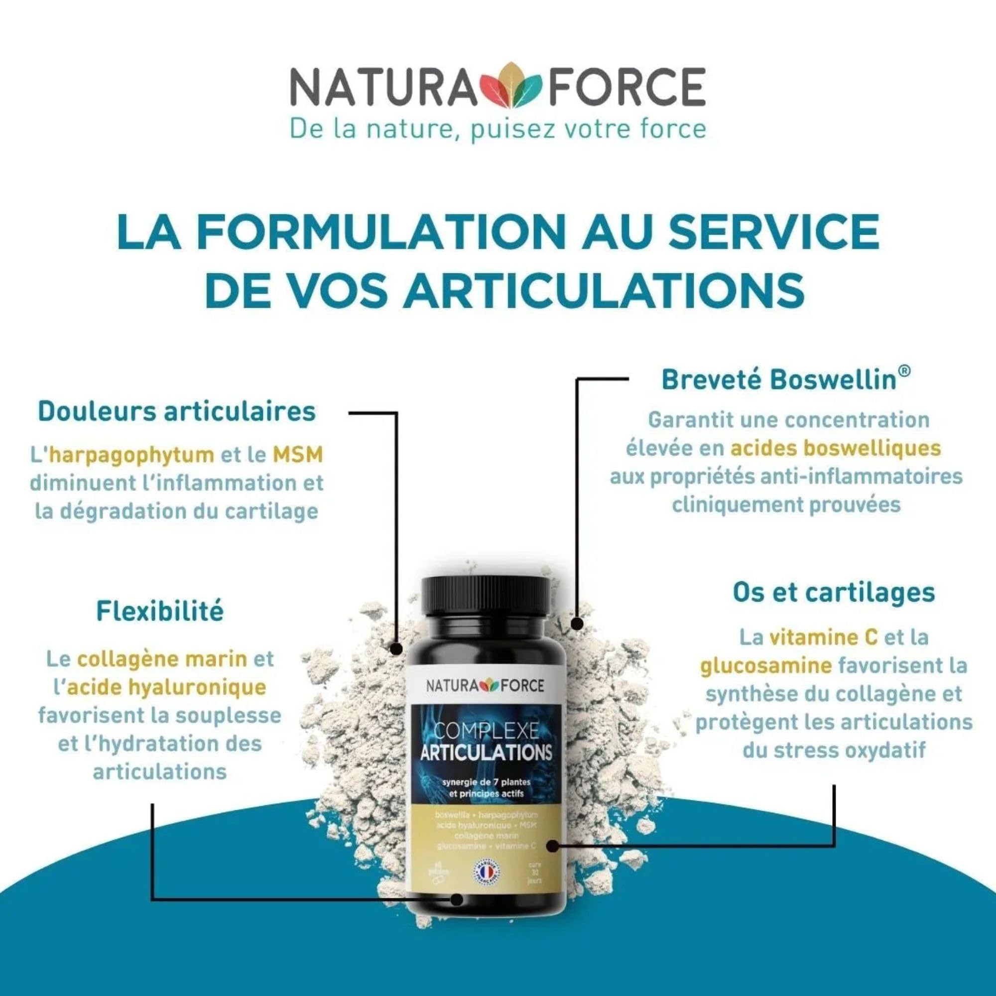Complexe Articulations - 7 plantes et principes actifs hautement titrés - la santé articulaire - Soulagement des symptômes de l’arthrose légère à modérée - Boite de 60 Gélules, Paquet de 1