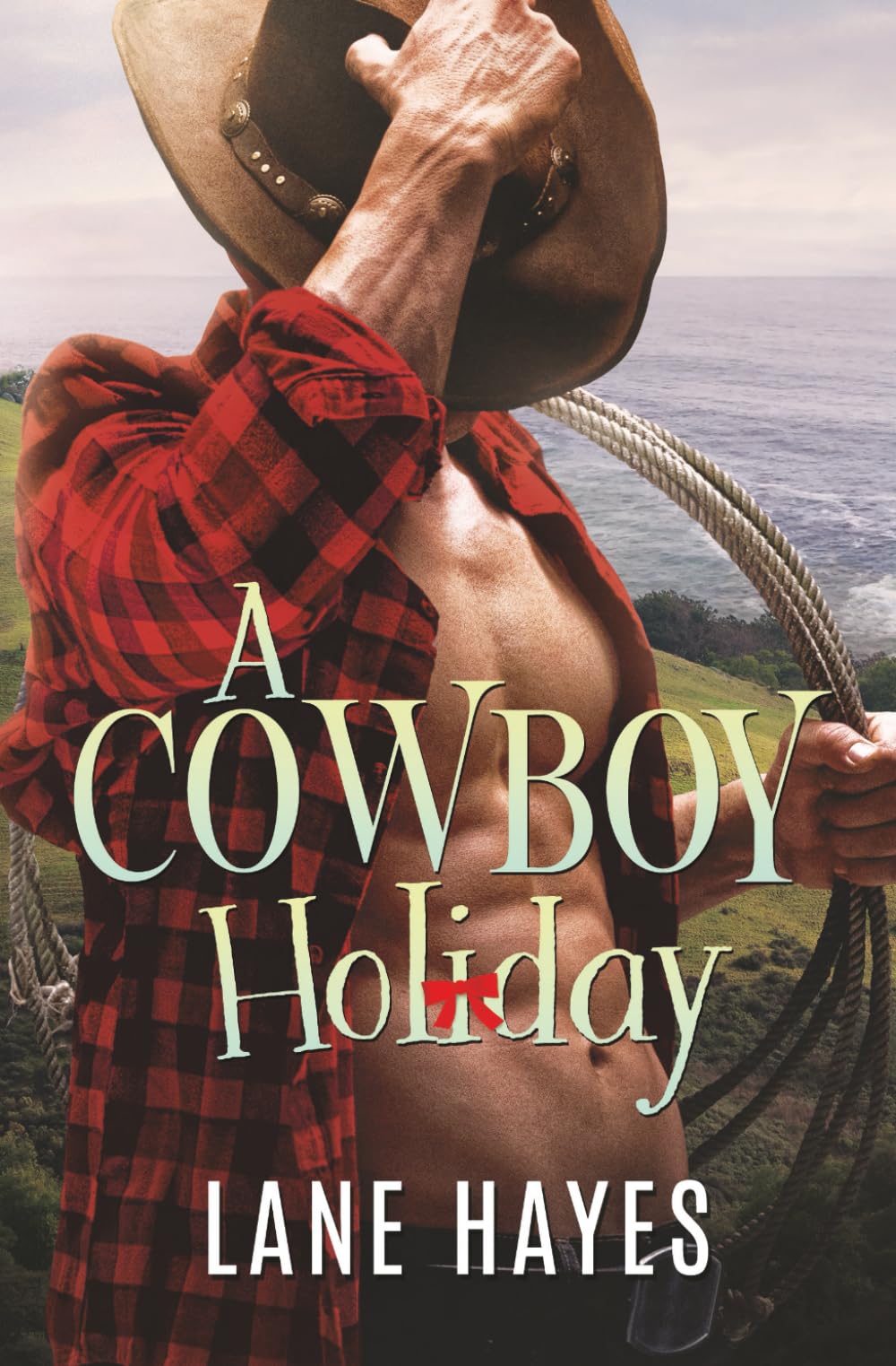 A Cowboy Holiday: MM Grumpy-Sunshine Romance