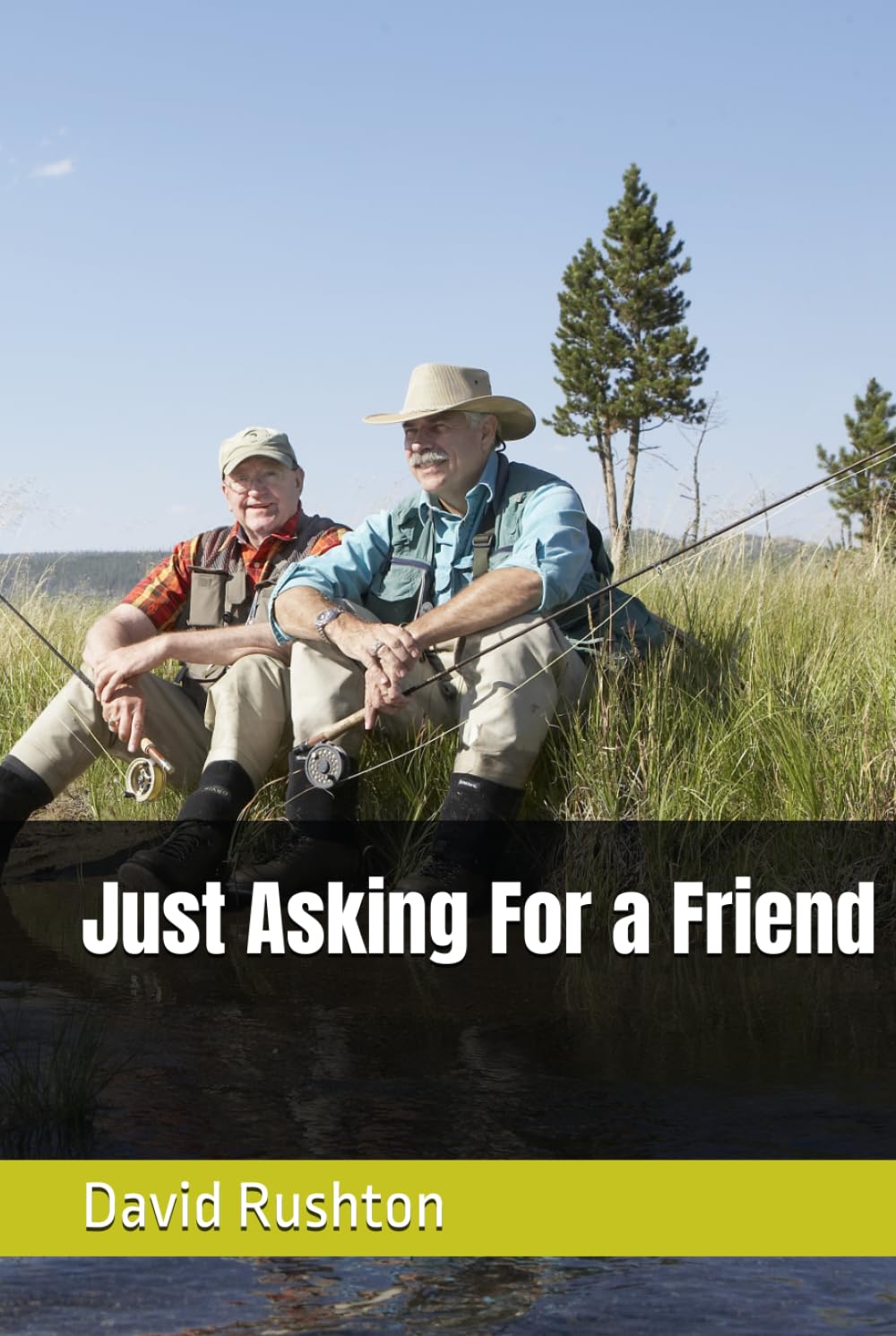 Just Asking For a Friend