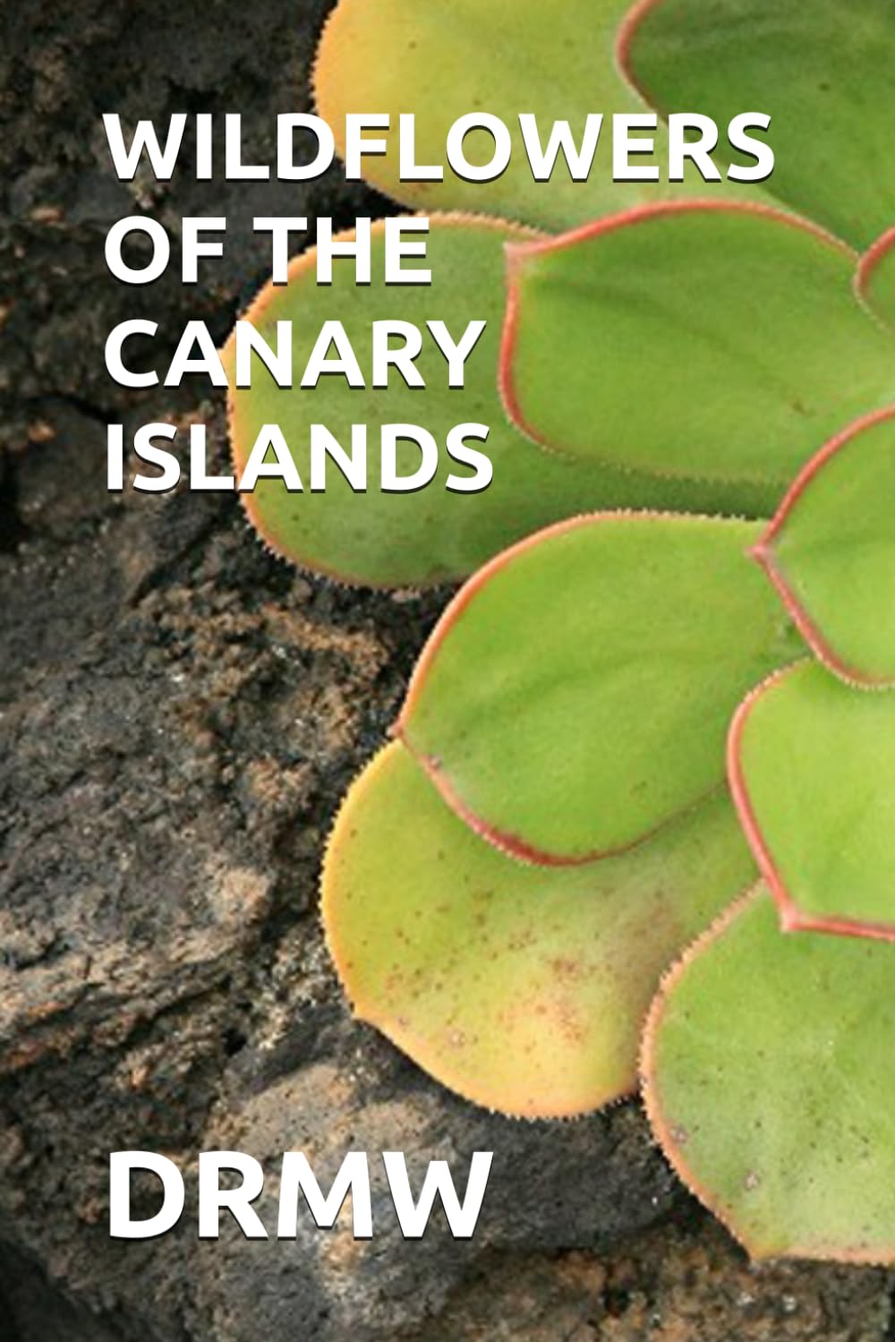 WILDFLOWERS OF THE CANARY ISLANDS