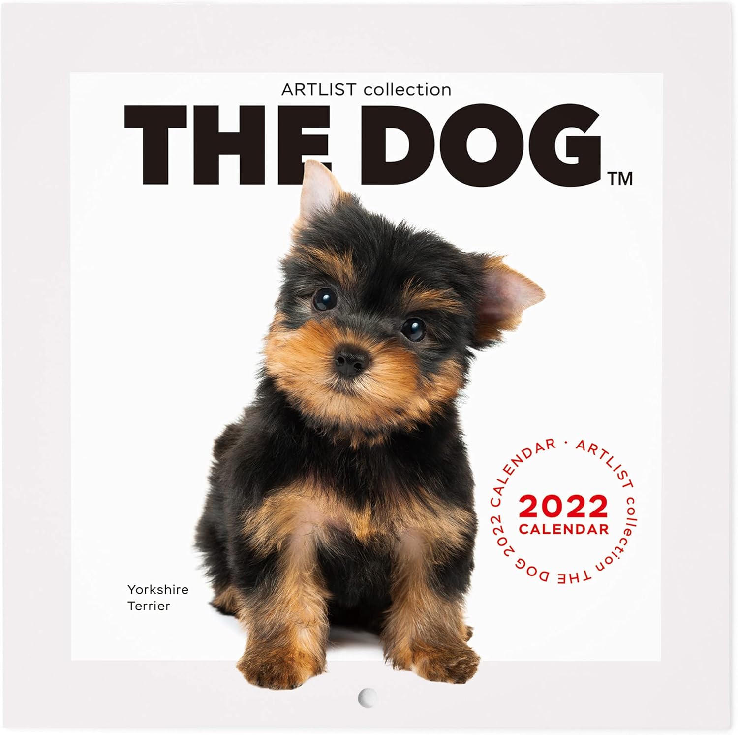 Amazon Co Jp The Dog ミニカレンダー ヨークシャー テリア 22年 ペット用品 Amazon Co Jp The Dog ミニカレンダー ヨークシャー テリア 22年 ペット用品