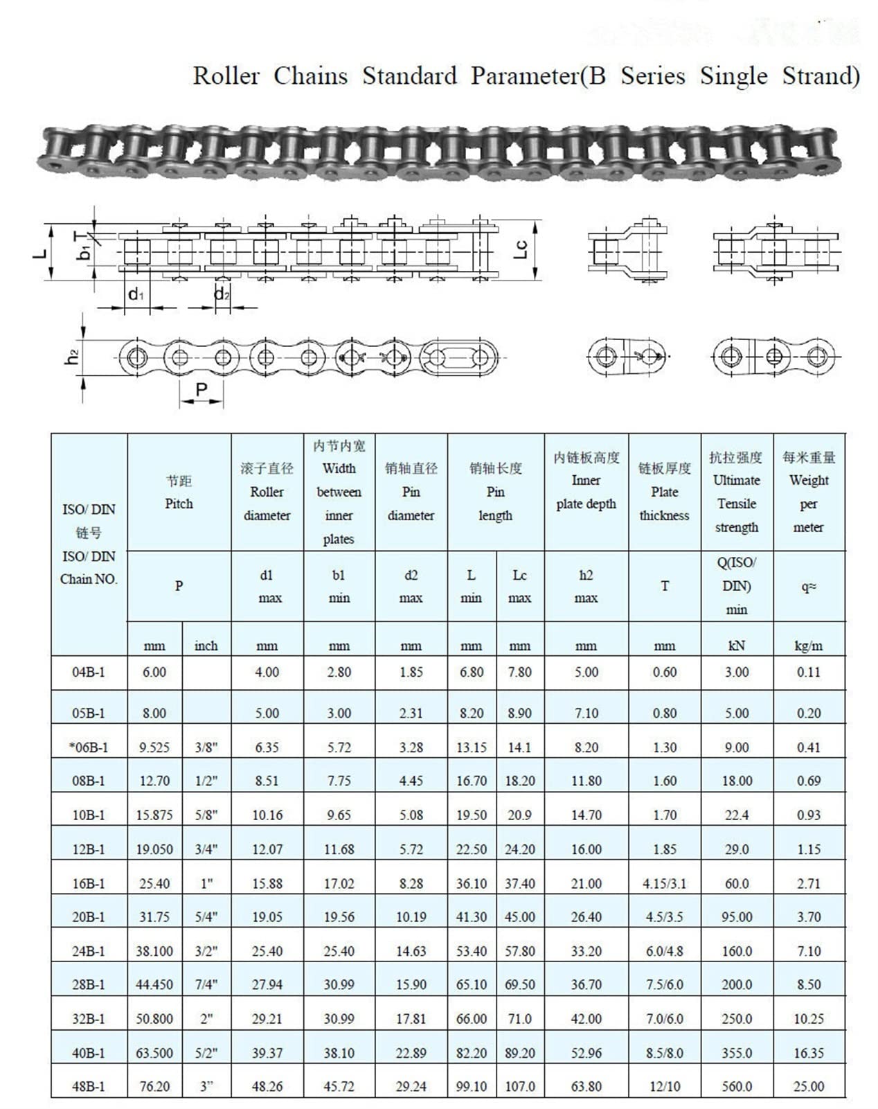 DOLUNTO 1.5m de Longitud, 0 8b ANSI Cadena de transmisión de Doble Orificio de Doble Orificio de Doble Orificio