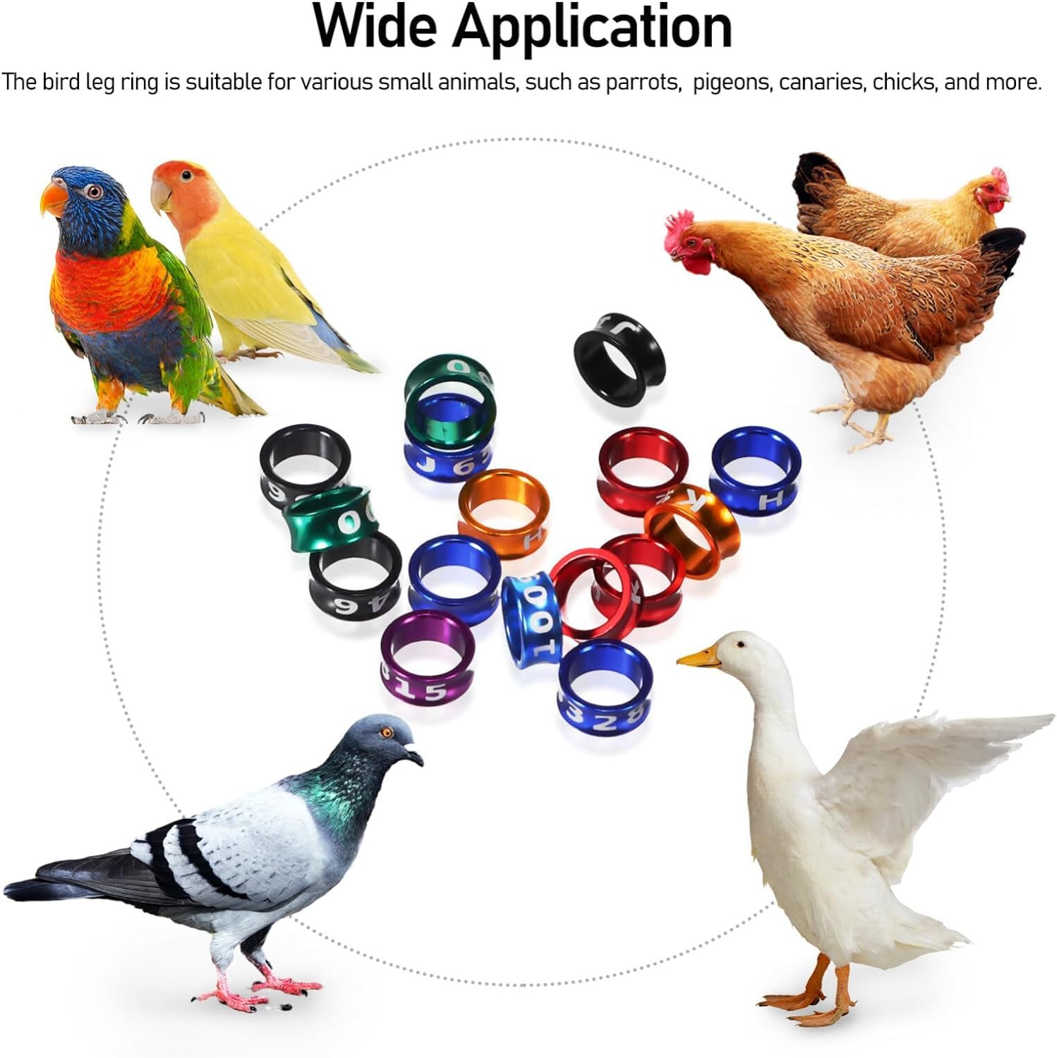 CARYZ Cavigliera per Piccione, Zampa di Pollo, Cintura identificativa per Piccione, Anello per cavigliera, Cinturino per Gamba di Piccione (Numero di Colore Casuale) 200pz Mixed colors7.0mm
