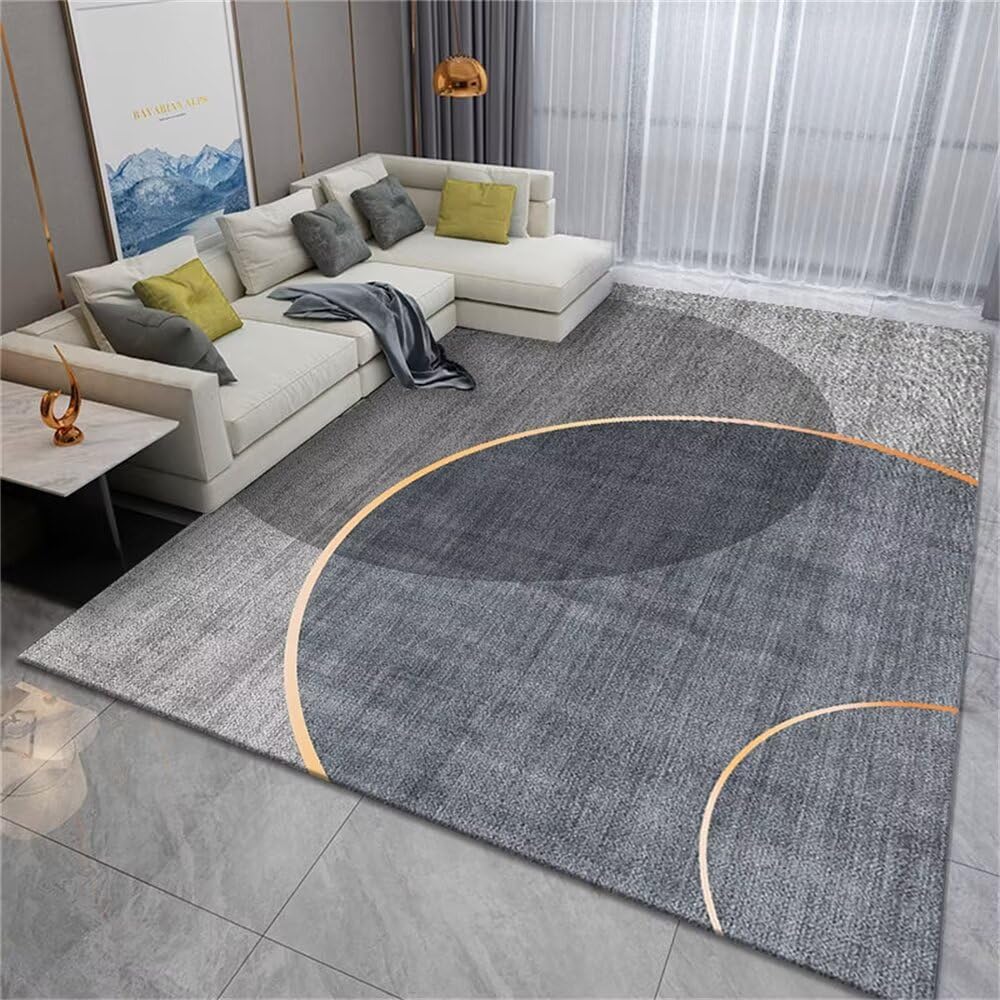 Tapis de couloir long gris 160x230cm moderne pour salon et grand balcon