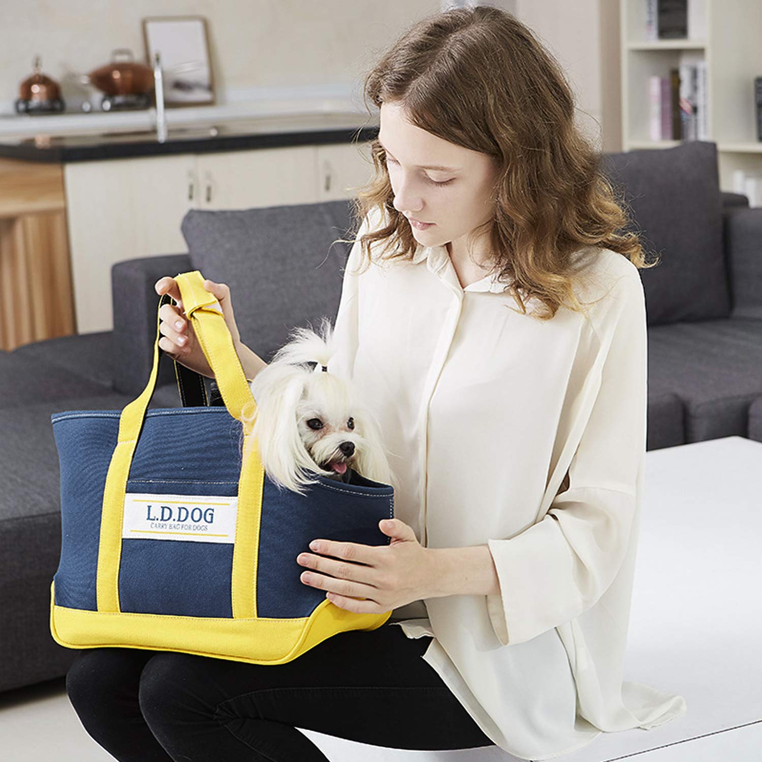 PETCUTE Transportín Perro Gato Bolsa De Transporte Transpirable para Mascotas Jaulas para Perros Pequeño Medianos Coche Avion Portador de Viaje hasta 10 Kg