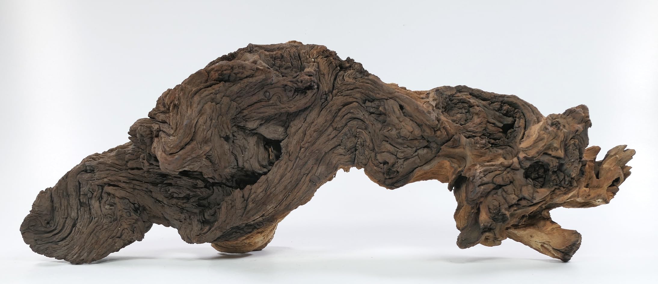 Korzeń Mopani rozmiar M // korzeń prawdziwego drewna dekoracja akwarium krewetki ryby ozdobne Hard Scape 20 cm - 30 cm (mangrowa sawanna)
