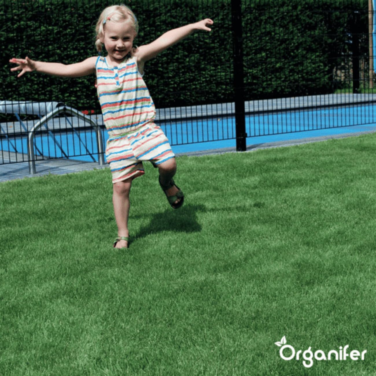 Organifer Graines De Gazon À Germination Rapide 1 Kg 50 M2 Pelouses Sportives