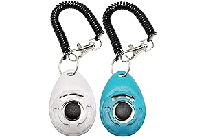 Top-Notch Training Clicker for Enhanced Communication with Your Furry Companions