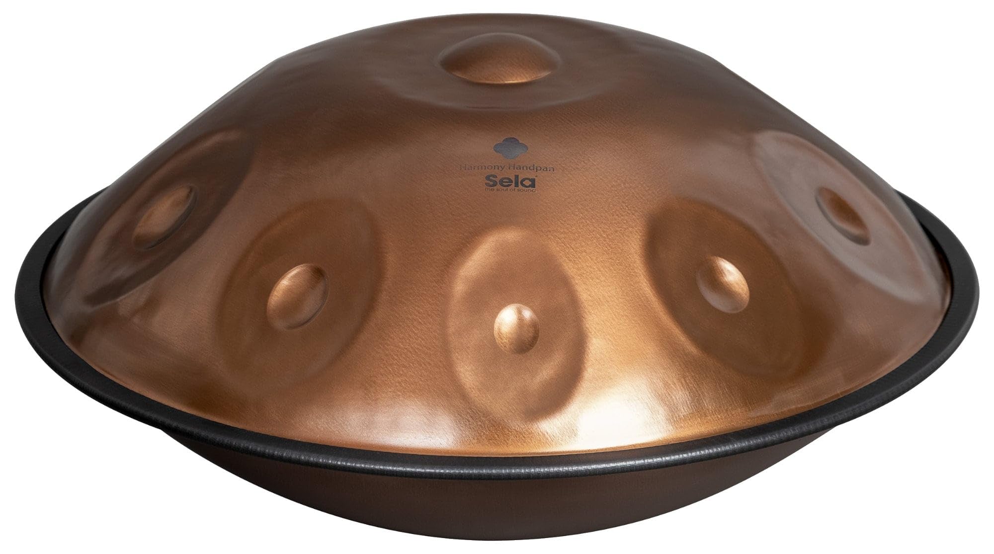 Harmony Handpan D Kurd 10 Phoenix Steel