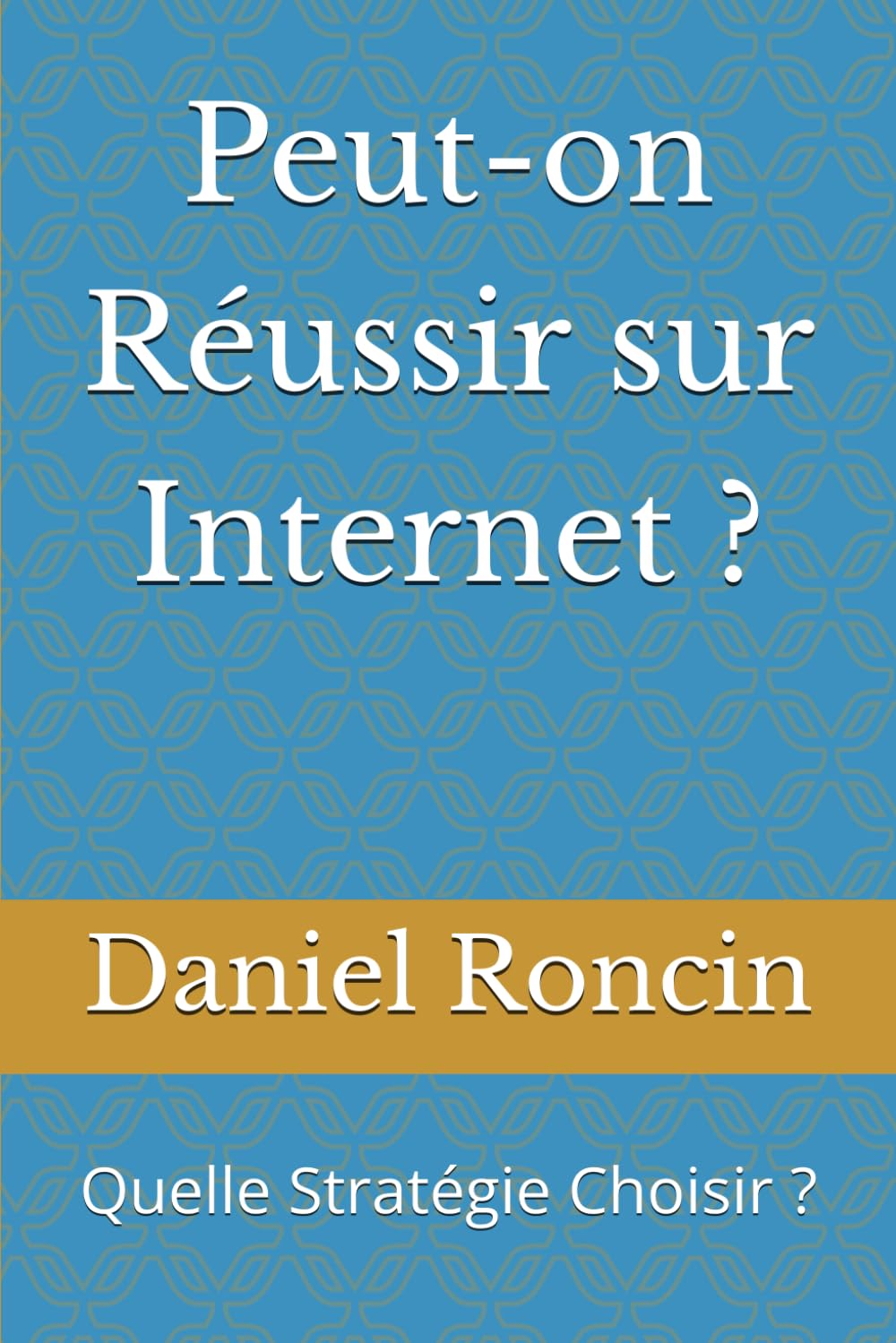 Peut-on Réussir sur Internet ?: Quelle Stratégie Choisir ? (Activités Inernet)