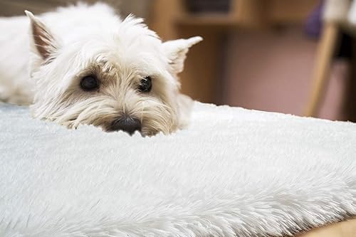 Vista 22 de Pacapet Alfombras esponjosas, alfombras peludas de felpa beige para sala de estar, dormitorio, alfombra mullida para habitación de los niños