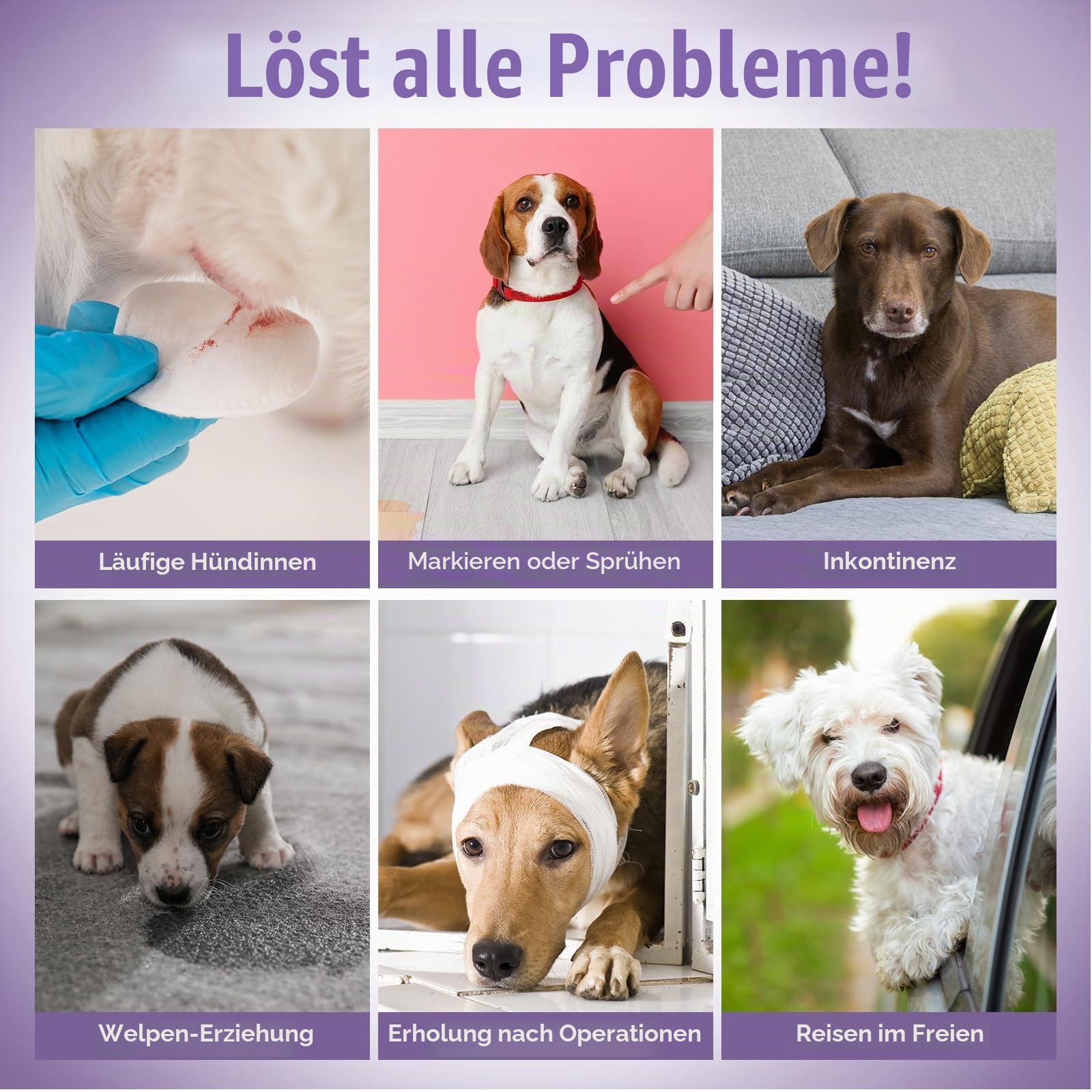 Pet Soft Einweg-Hundewindeln für Hündinnen 40 Stück, Hochsaugfähige Hundewindeln Weiblich, Einweg Windeln für Hündinnen Katzen mit Nässeindikator und Auslaufsicher (XXS-40 Stück)