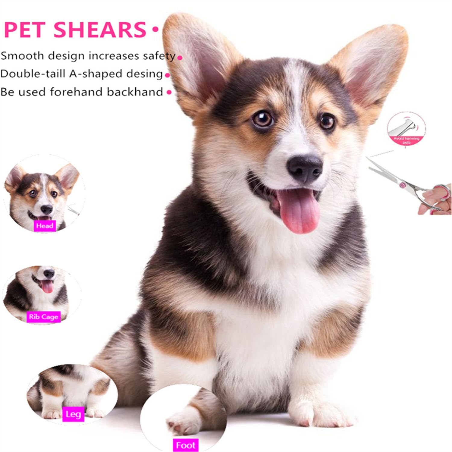 Lot de ciseaux de toilettage pour chien professionnels de 17,0 cm avec ciseaux à effiler pour le toilettage - Ciseaux courbés pour animaux de compagnie - En acier inoxydable 440C