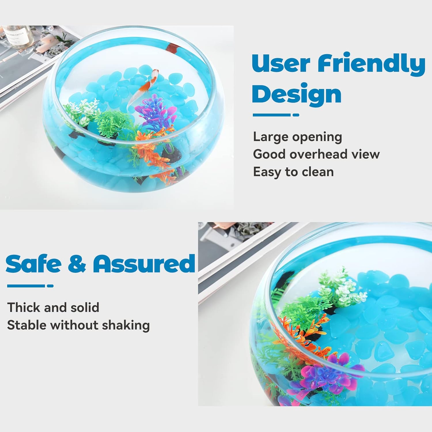 Buy LAQUAL 1 Gallon Glass Fish Bowl with Decor, Include Fluorescent