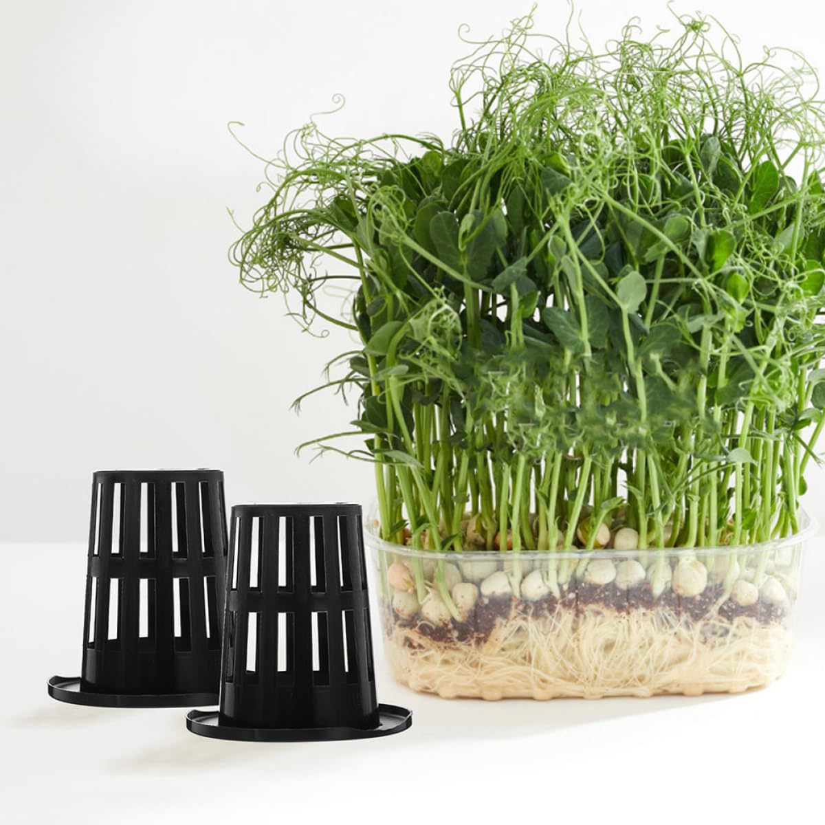 DOITOOL Pots en Filet pour Hydroponie 100 Pcs Paniers de Plantation en Plastique Noir 70 MM Godets de Culture pour Orchidées et Plantes Aquatiques Conteneurs Jardin Adaptés Culture