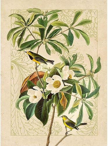 ArtDirect Classic Avion V 10x14 UnFramed Art Print Poster Ready for Framing by Hunziker, Steve