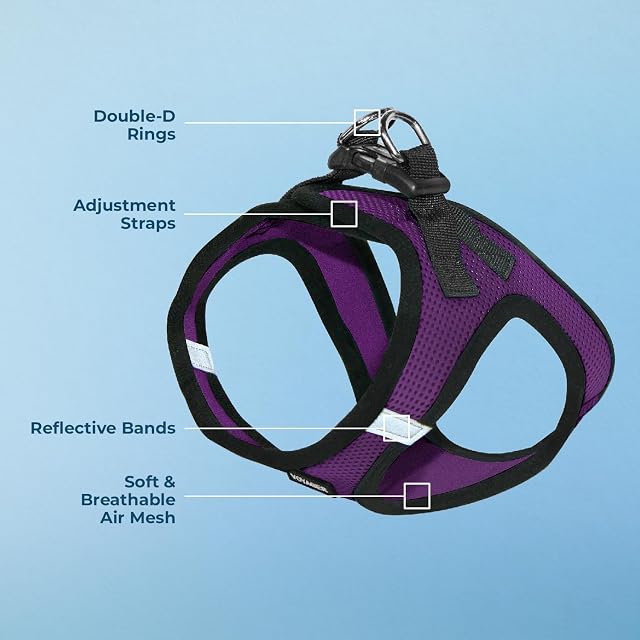 Foto 3 de 8 de Best Pet Supplies Voyager Step-in Air