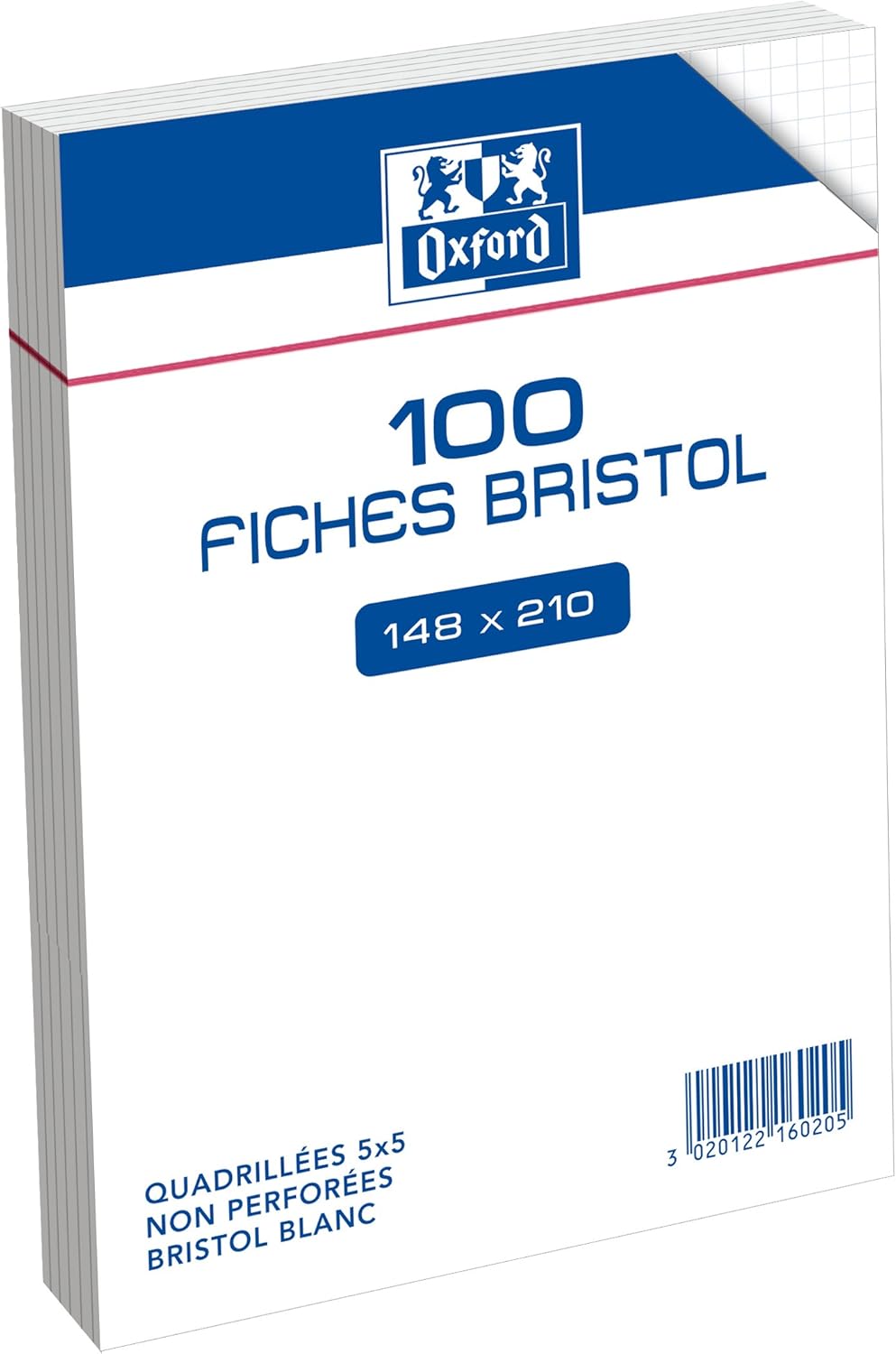 Hamelin - Pack De 5 Blocs Notes Détachables - A4 - 200 Pages