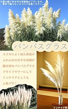 わるいヘルガー　ハッサム　バンギラス　ホロ　渦巻き　まとめ売り わるいヘルガー ハッサム バンギラス ホロ 渦巻き まとめ売り