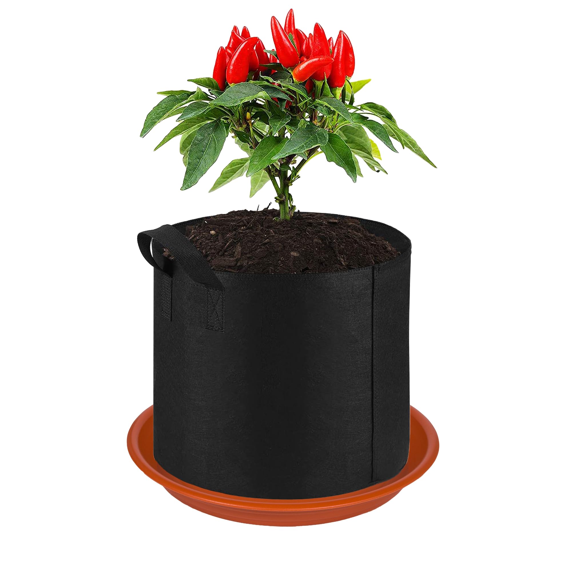 Amazon.com : MSKIAUO 2 Pack Plant Saucer Drip Tray 11 12 inch, Pot