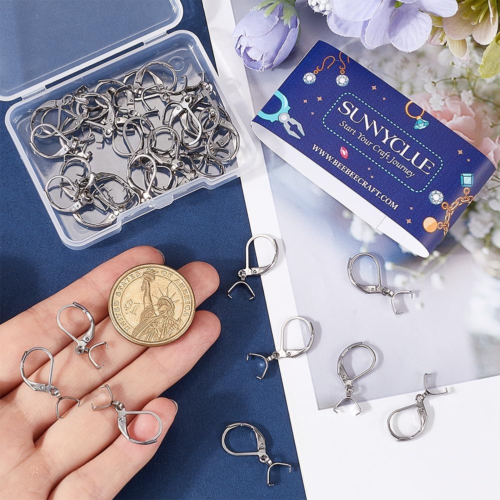 SUNNYCLUE 1 Box 40Pcs Leverback Ear Wires Silver Earring Hooks Bulk Metal 304 Stainless Steel Dangle Wire Hook Findings with Ice Pick Pinch Bails for Jewelry Making Earrings DIY Crafts Accessories - Image 3