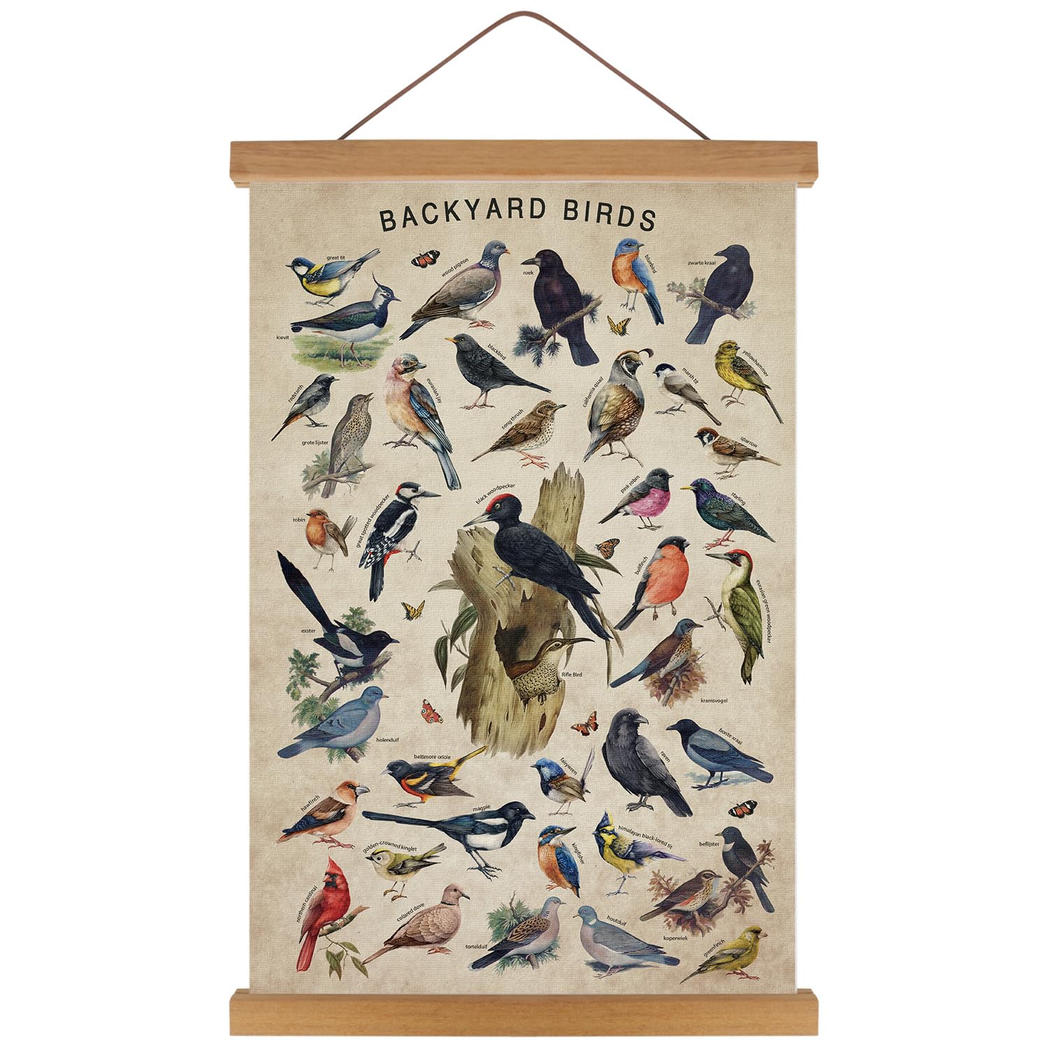 KAIRNE Vintage Backyard Birds Canvas Wall Art Set,Bird
