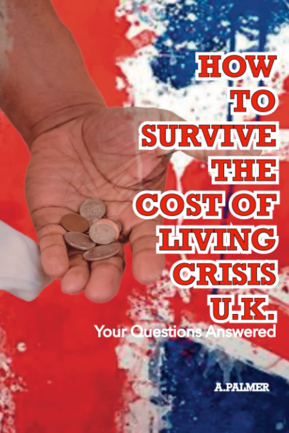 How To Survive the Cost of Living Crisis U.K: Your questions answered