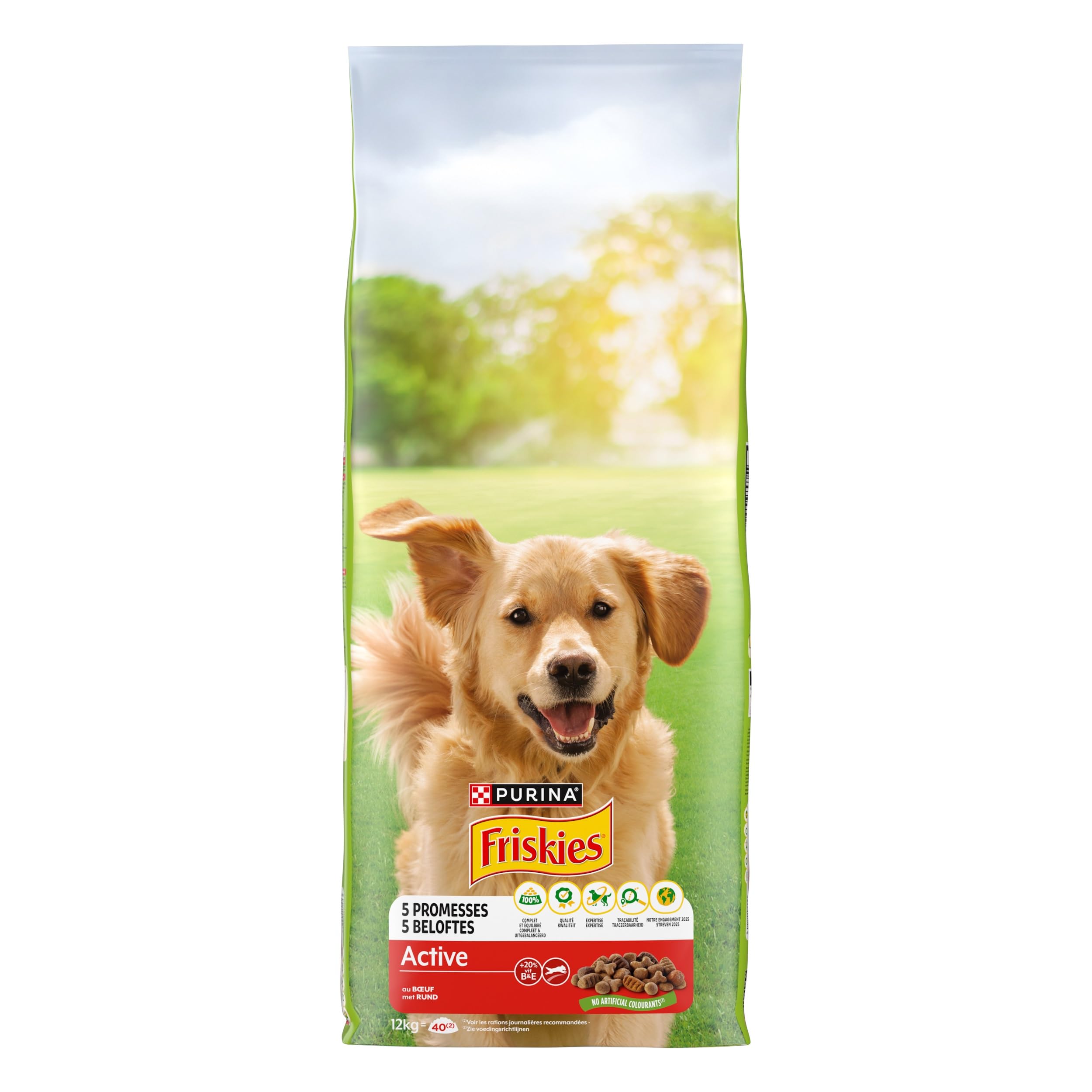 FRISKIES | Active | Chien | Croquettes pour Chiens Adultes | au Boeuf | Aide à Maintenir Un Niveau d'énergie élevé | Sac | 12 KG