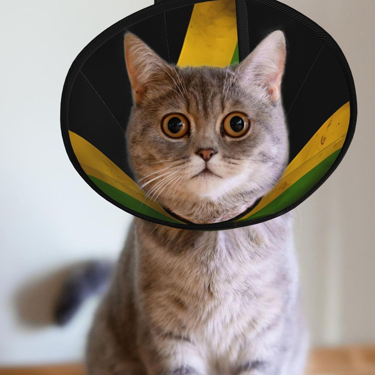 Custom Pet Cones - Unique Design Cat & Dog Cone, Collar for Post-Surgery Recovery, Adjustable Neck Old Jamaican Flag Large