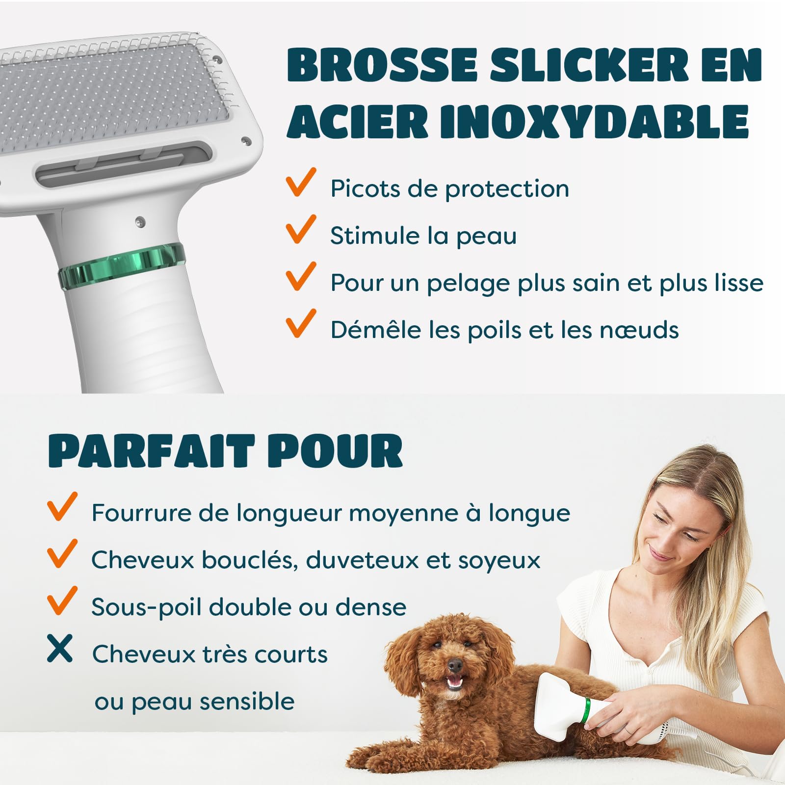 Sèchoir pour Chien et Chats 2 en 1 | Séchoir Pulseur Portable et Silencieux avec Brosse à Lisser | Température Ajustable | pour Chiens et Chats Petits et Moyens