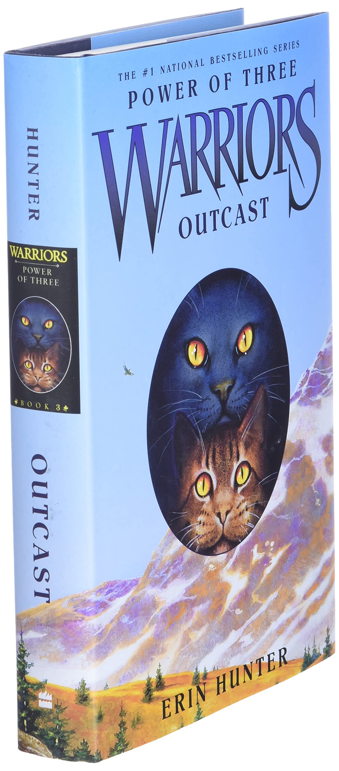 Warriors: Power of Three #3: Outcast: Amazon.co.uk: Hunter, Erin:  9780060892081: Books