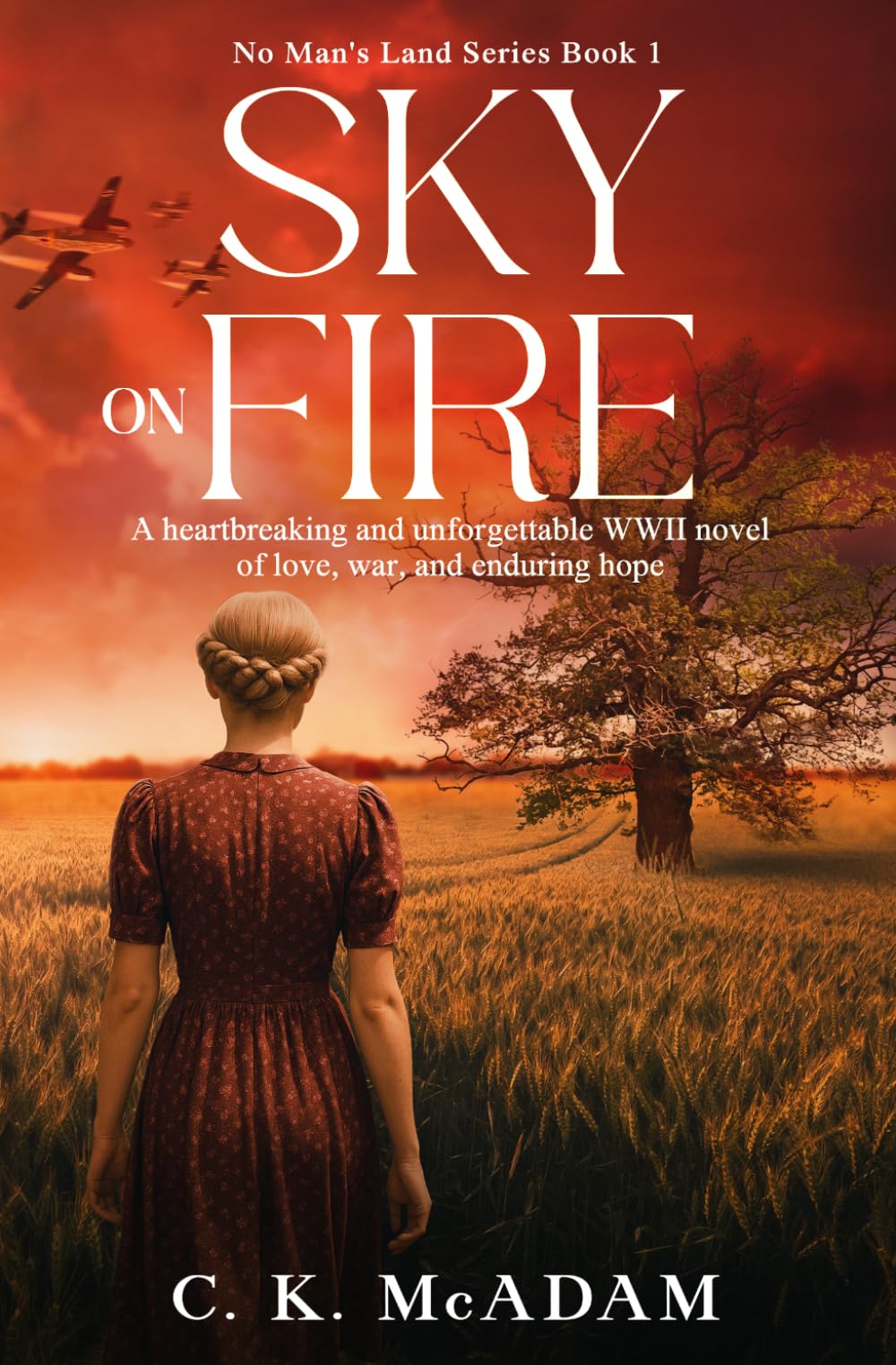 Sky on Fire: A Heartbreaking and Unforgettable WWII Novel of Love, War, and Enduring Hope: 1 (No Man's Land)