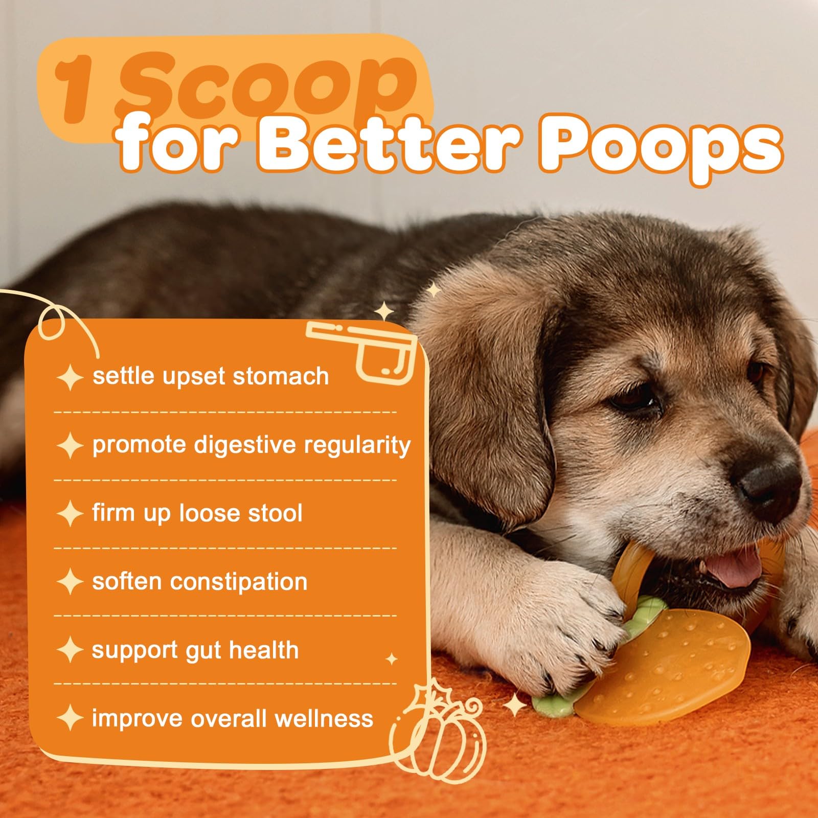 ZEBORA Pumpkin for Dogs - Natural Fiber for Dogs and Cats, Apple, Dog Probiotics for Digestive Health, Support Firm Stool, Diarrhea, Constipation, Add Water to Make Pumpkin Puree for Dogs, 10.58 oz - image 3