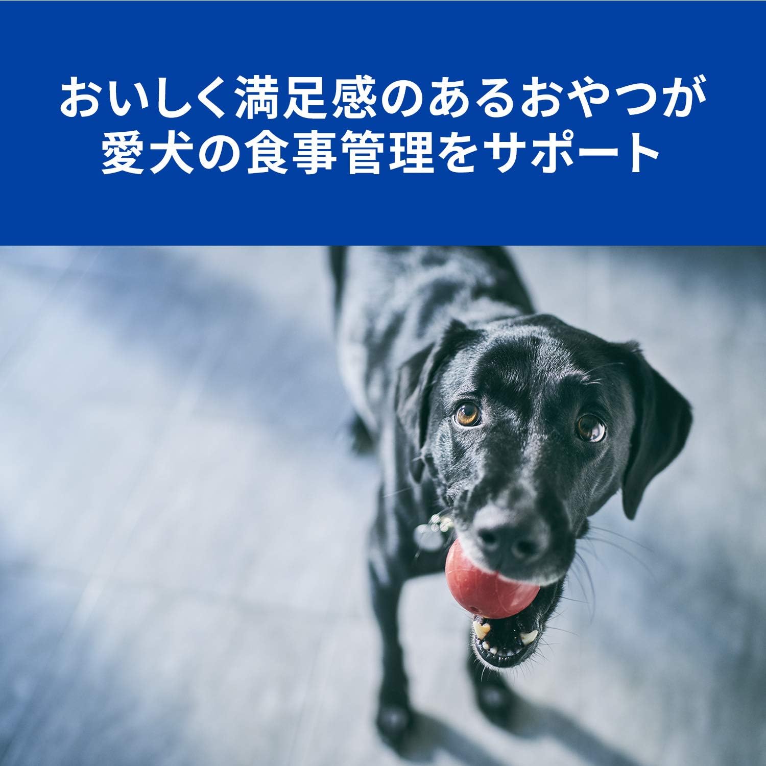 Amazon 療法食 プリスクリプション ダイエット ドッグフード トリーツ 0g プリスクリプションダイエット ビスケット クッキー スナック 通販