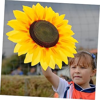 ✿ひまわりページ✿ ひまわり “ダージリン” 新品種、茶色の八重咲です