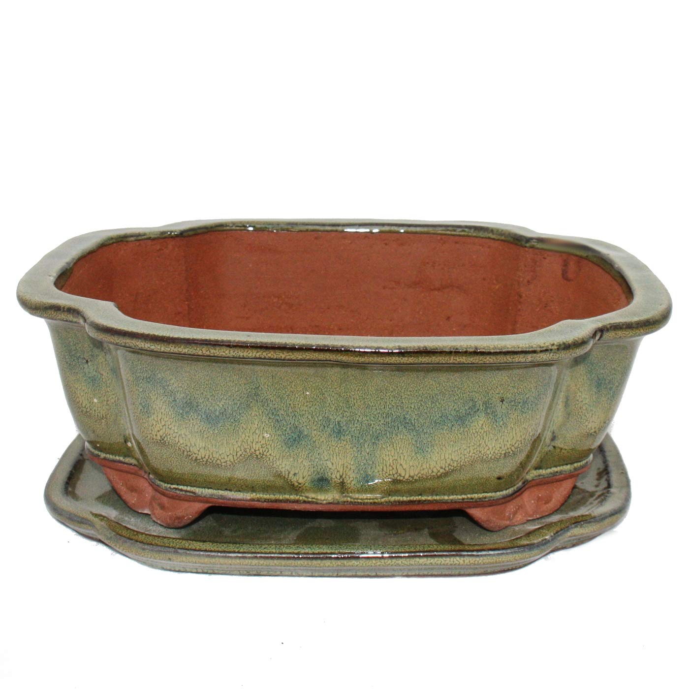 Bol à bonsaï rectangulaire marron olive 31cm grand pot avec coupelle
