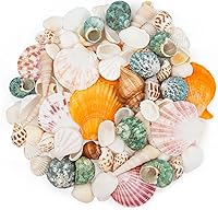 QEQEKAKA Natural Mixed Sea Shells for Crafts (80+ pcs, 12 Varieties 0.4-2") - Vase Fillers, Fish Tank Decor, Beach Wedding Party Supplies