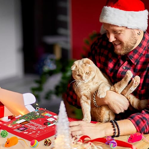 Miniatura 3 de Calendario de Adviento para gatos de 24 días, calendario de cuenta regresiva para gatos, juguetes de Navidad para gatitos con juguetes de hierba